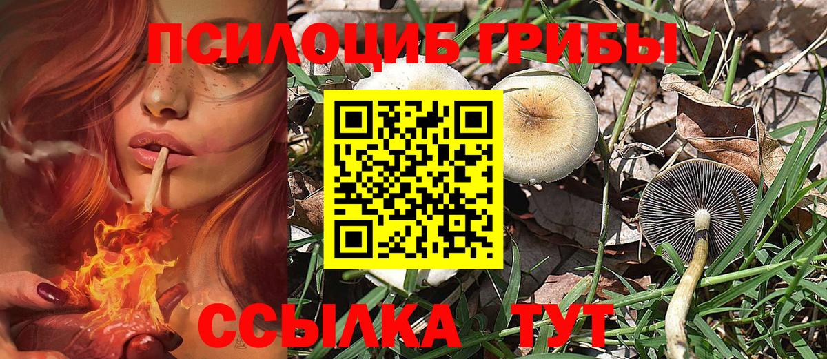 Псилоцибиновые грибы Cubensis  Вход с VPN  дарнет шоп  Камышлов 
